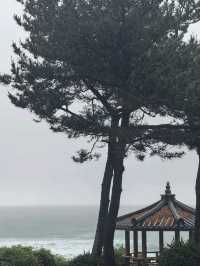 Namwon Jeju: для романтических выходных на острове