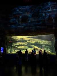 Singapore Oceanarium: Dive Into an Underwater Wonderland 🦈✨