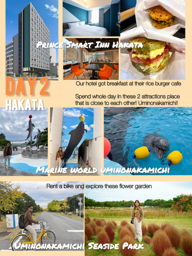 12 Days Kyushu Itinerary for your Autumn trip 😁