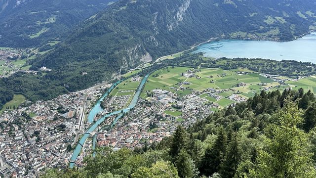 🏔️ [Switzerland] 여름 스위스, 그냥 미쳤다는 말밖엔!