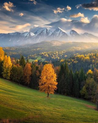 🏔️ Zamagurie — A Fairytale Painted by Nature 🍂✨