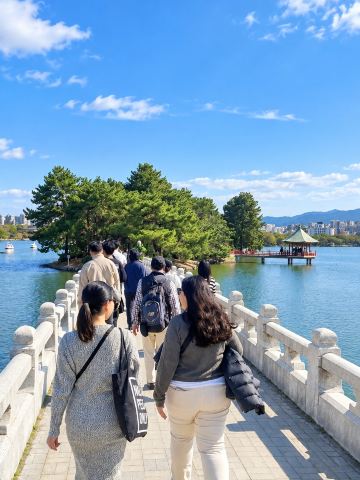 Fukuoka laid back | Trip.com Fukuoka