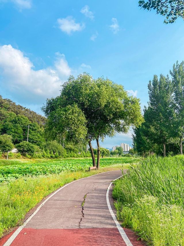 곧 다가올 여름 꽃 시즌! 이제 슬슬 준비하셔야죠?