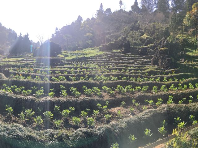 A Panorama View over Sapa Town