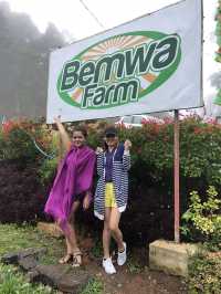 Visiting Bemwa Farm in Spring 