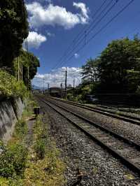 Experiencing the Heart of Japan in Kyoto 
