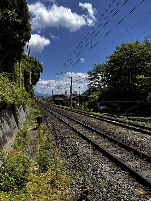 Experiencing the Heart of Japan in Kyoto 