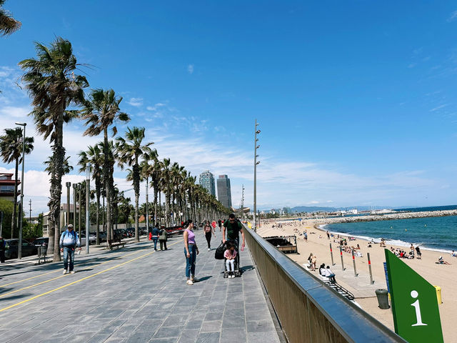 🇪🇸【Barcelona Beach】陽光加持☀️必打卡的地中海沙灘天堂！海風＋熱情＋啤酒＝完美旅程！