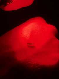 Discover Nature Magic at Naga🌳🌋💦