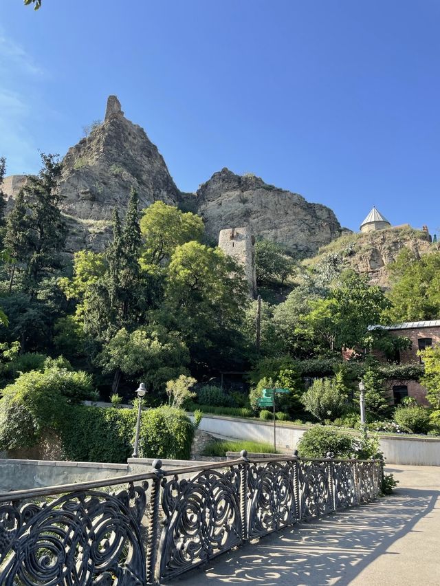 【ジョージア🇬🇪/自然豊かな巨大な植物園 】