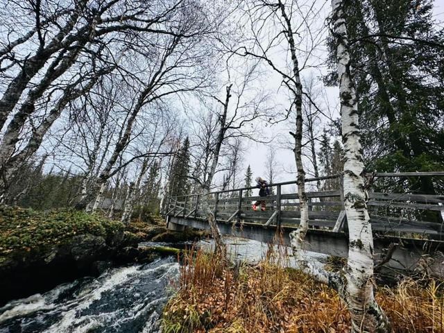 芬蘭🇫🇮景點-Äkäslinkka Waterfall