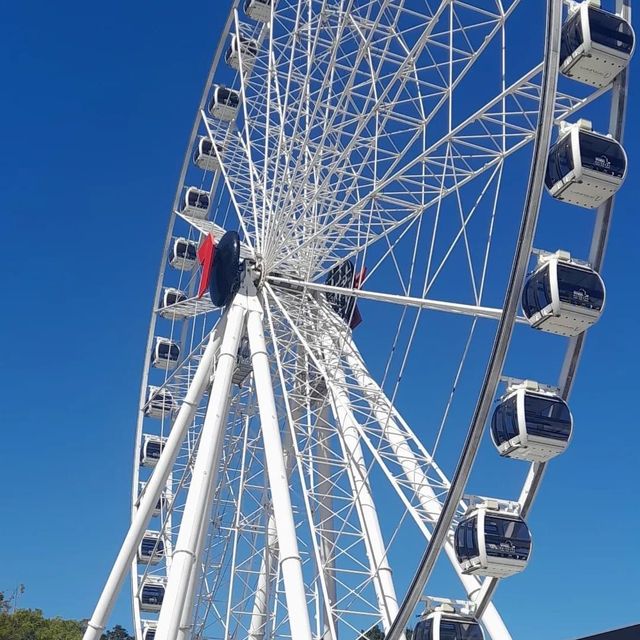 Must try: The Wheel of Brisbane 🇦🇺