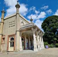 Exploring 🎨 Brighton Museum & Gallery! 🏛️