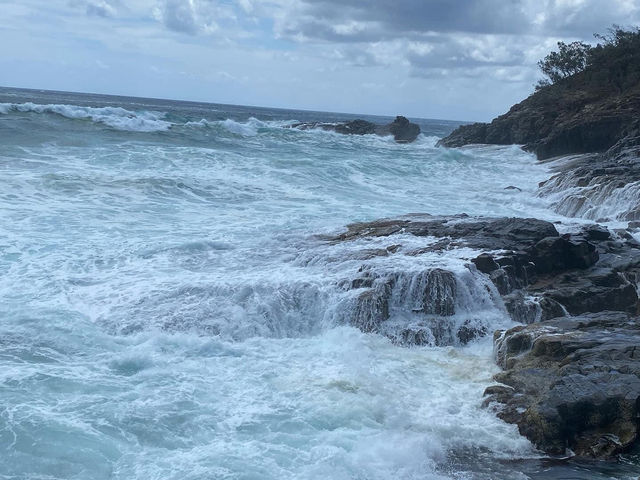 Noosa National Park 🌴