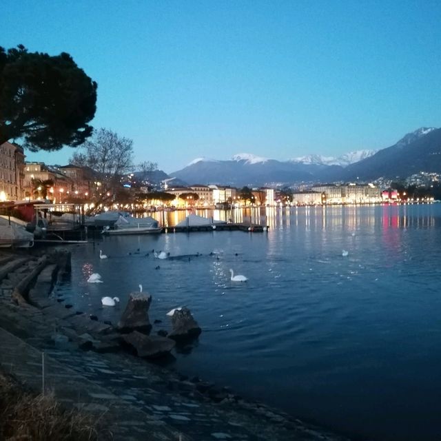 Delfino in Lugano, I ll be back for sure