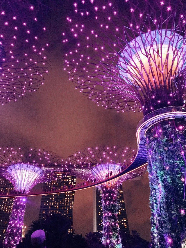 Singapore: The Lion City's Roar