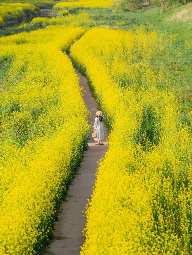 🪴 월암교 🌻 