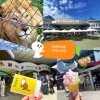 🎠動物遊樂園🦁冒險大世界🎡棲息著160種動物🐼