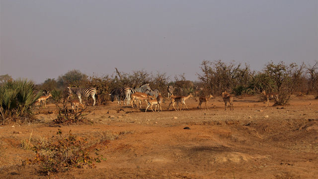 2 days Tanzania sharing safari 
