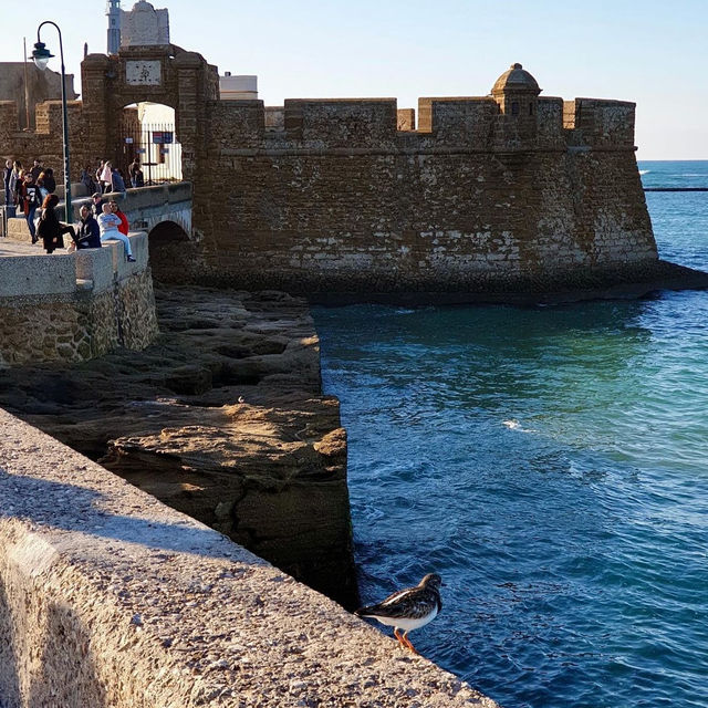 A day in Cadiz 🇪🇸