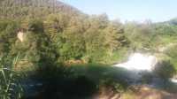 Nature’s Cascade of Beauty