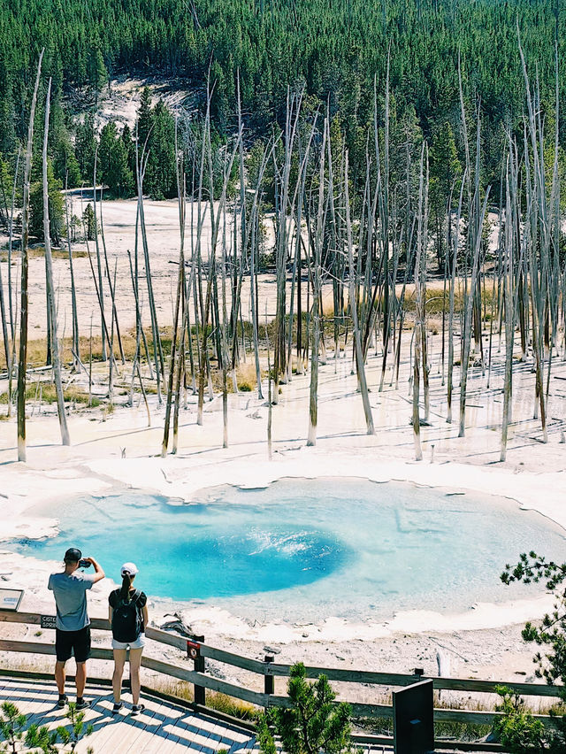 Yellowstone National Park – Nature’s Ultimate Theme Park! 🌋