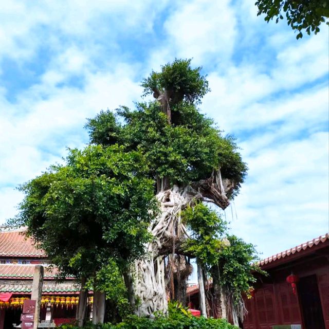泉州天后宮
