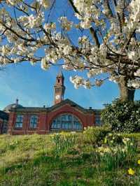 🌸 Birmingham in Bloom: The City Bursting with Colour This Spring 🌼🌆