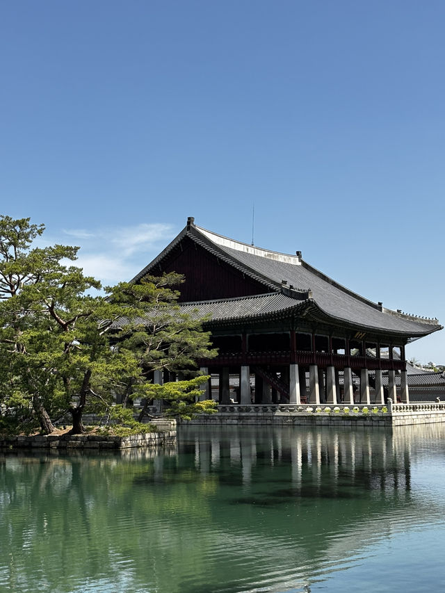 A Step Back in Time at Gyeongbokgung Palace