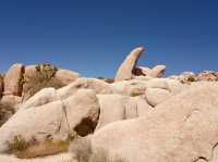 Joshua Tree National Park - the USA’s forgotten gem! 