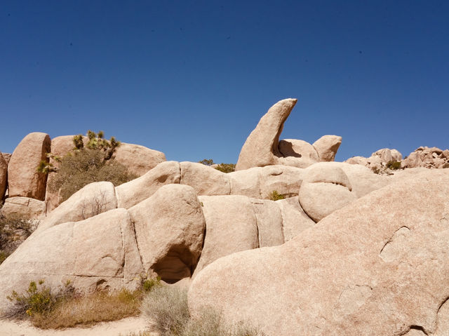 Joshua Tree National Park - the USA’s forgotten gem! 