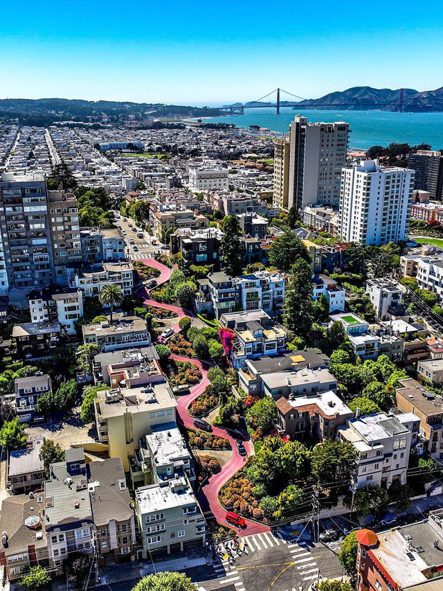 🌁 San Francisco – Where Golden Views Meet Creative Vibes