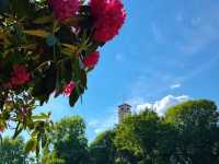 A Spring Stroll Through Nottingham: Legends, Greenery, and Hidden Corners