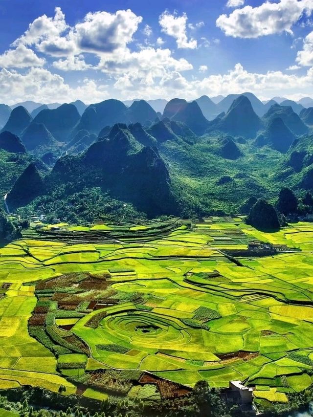 ⛰️ Wanfenglin Scenic Area – The Sea of Ten Thousand Peaks in Guizhou