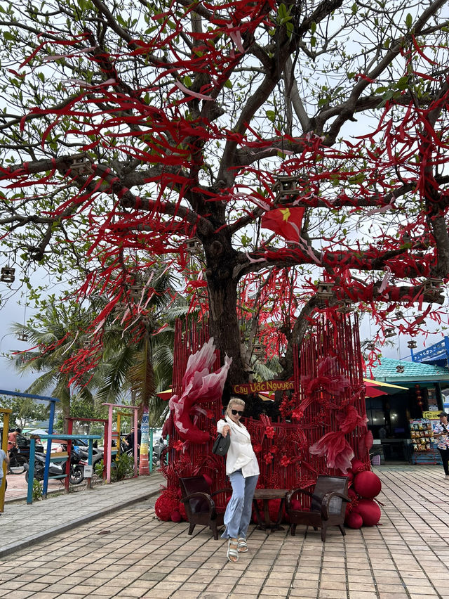 Da Nang for $100: 3 Days That Will Change How You See the World