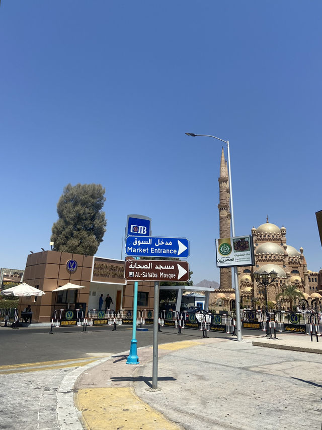 Beyond the Desert: My Journey Through the Hidden Gems of Egypt 🇪🇬✨