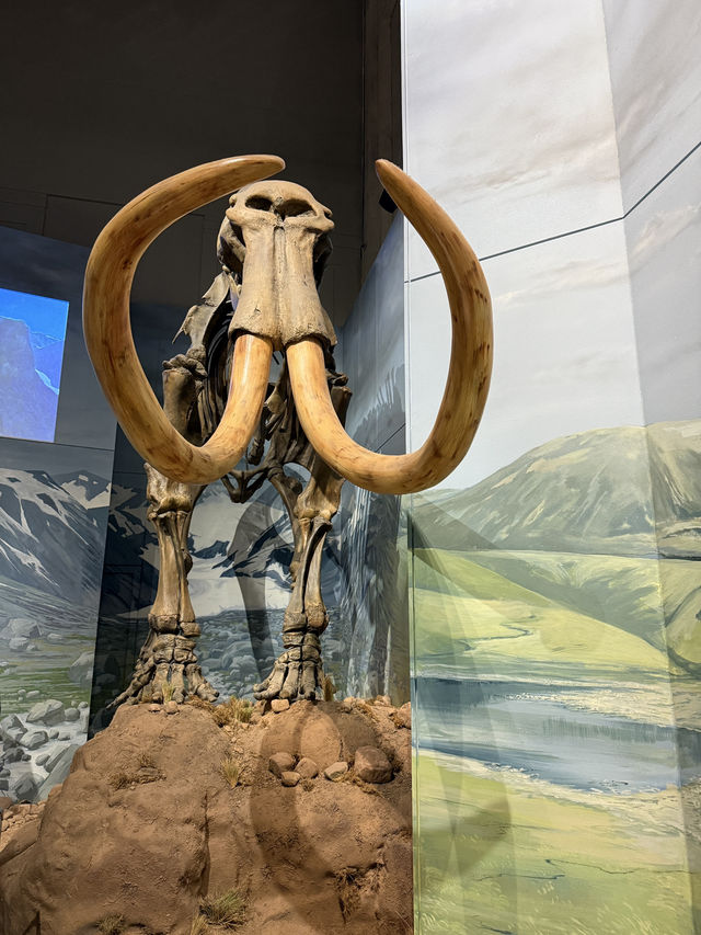 My Favourite Free Place In Cardiff, The Incredible National Museum Of Wales 