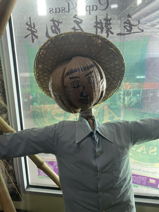 From Field to Fork: Inside Sekinchan’s Paddy Processing Factory & Rice Gallery 
