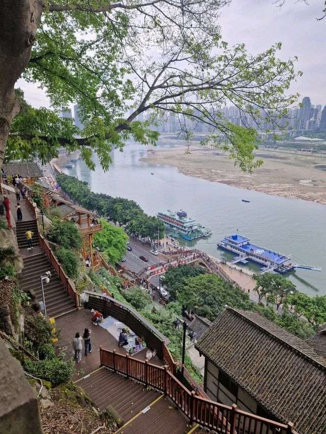Own Chongqing in 3 Days with Just $100 🔥🇨🇳