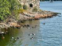 走讀芬蘭堡Suomenlinna～芬蘭海上要塞
