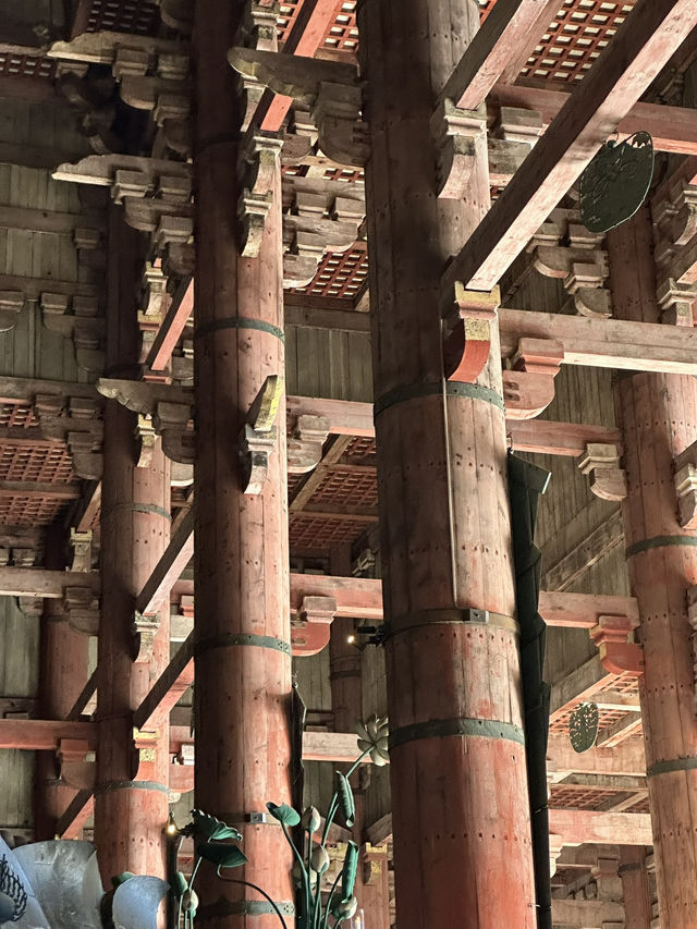 Step into Spiritual Grandeur at Nara’s Todaiji!