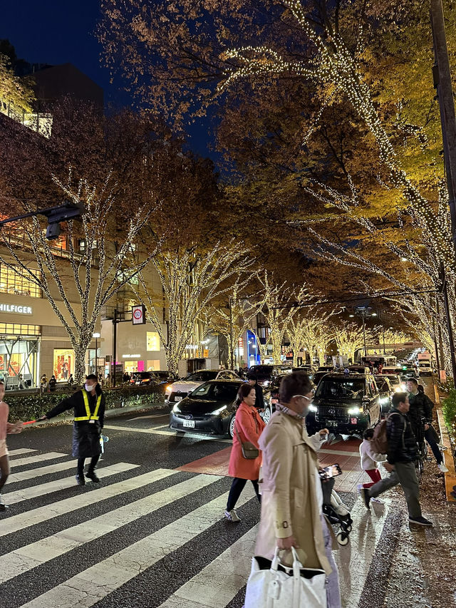 Exploring Tokyo’s busiest, most iconic districts means you’re in for a total sensory overload! 