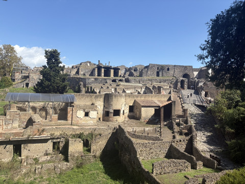 ポンペイ遺産を日本語ガイドさんと散策 | Trip.com ナポリ大都市圏