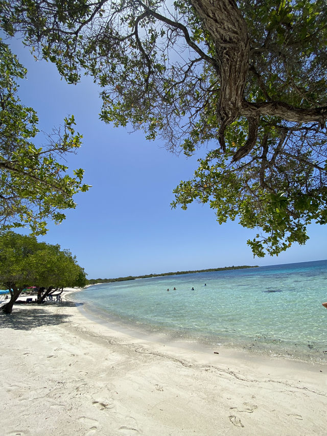 Venezuela Seaside: level up your beach game in Silva beach !