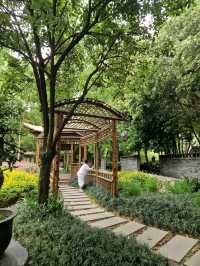 Zen Garden Mood in Chengdu🌳