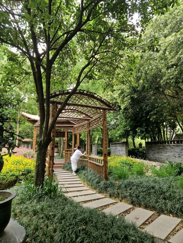 Zen Garden Mood in Chengdu🌳