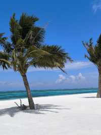 Cocoon Maldives — Where Luxury Meets the Art of Doing Nothing