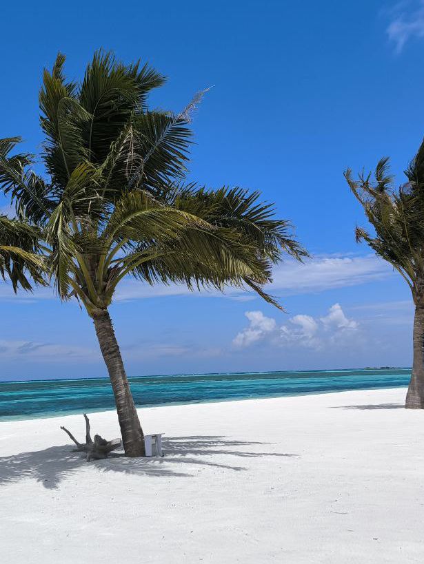 Cocoon Maldives — Where Luxury Meets the Art of Doing Nothing