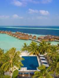 Vilamendhoo Island Resort — Where the Reef Speaks Louder Than Words