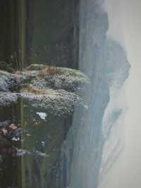 🌫️ 안개 사이로 울리는 폭포의 숨결 🇮🇸